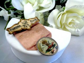 Colorful Victorian Pomona P Of H Patrons Of Husbandry Fraternal Ribbon Badge Pin