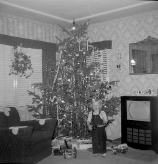 Sq273 Photo Negative 2 1/4 " 1950s ? Little Girl Christmas Morning Tree