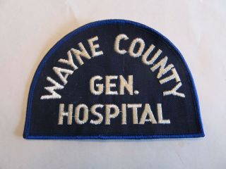 Michigan Wayne Co General Hospital Deputy Patch Old Cheese Cloth
