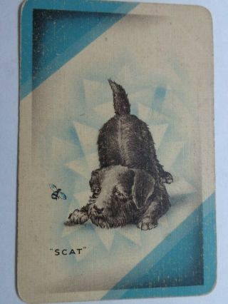 Old Vintage,  Single,  Cute Dog,  Named Scat ; Swap Playing Card.
