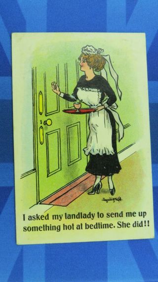 Risque Donald Mcgill Comic Postcard 1915 Hot Stuff Maid Landlady Boarding House