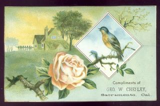 1880 ' s SACRAMENTO,  CA CALIF.  VICTORIAN ADV.  TRADE CARD,  GEORGE W.  CHESLEY X894 2