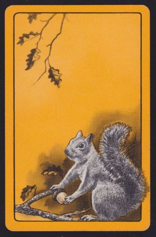 1 Single Vintage Swap/playing Card Animals Squirrel Acorn Oak Nut Orange