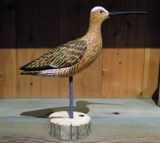 Anthony Hillman Curlew Shorebird Decoy Duck Plover Snipe Folk Art Cape May Co.