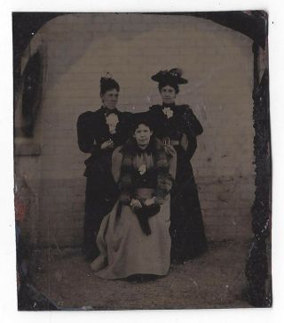 Tintype Photograph Group Of Three Victorian Ladies