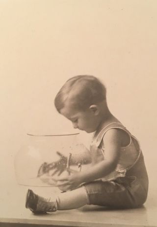 1910’s Adorable Young Boy Toddler Looking Into Bowl Photo Photograph