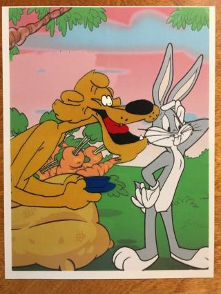 " Pete Puma " Warner Brothers Animation Cel 8 " X 10 " From Bugs Bunny