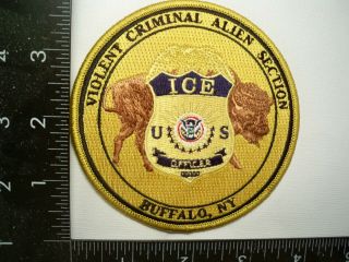 Federal Border Protection Ice Violent Cap Patch Var Buffalo Ny Alien Deport Unit