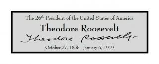 President Theodore Roosevelt Custom Laser Engraved 2x6 Inch Plaque