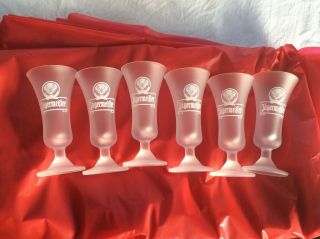 Jagermeister Tulip Frosted Shot Glasses Set Of 6