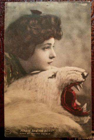 1904 Evelyn Nesbit Portrait Posing W Polar Bear Rug Beauty & The Beast Postcard