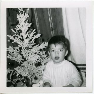 Cute Little Boy Baby Christmas Tree Snoopy Toy 1959 Vintage Snapshot Photo