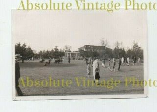 Old Photograph Chinese Park Goers Shanghai China Vintage 1930s