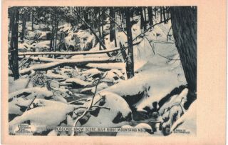 Cascade Snow Scene Blue Ridge Mountain Hand Colored Outstanding 1910 Md
