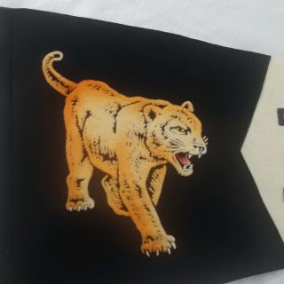 Vintage PENN STATE Nittany Lions Football Pennant Wool Soft Felt Lion Mascot 2