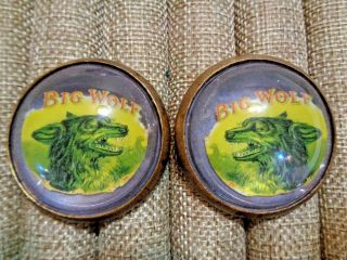 Vintage Glass Domed Brass Horse Bridle Rosettes Big Wolf Advertising Pair