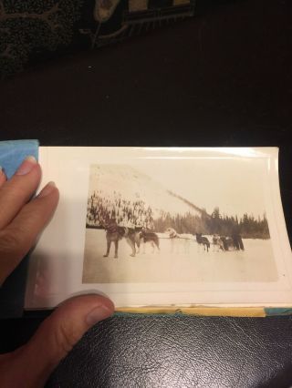 1940’s Photos Book 52 Of Alaska Dog Sled Hunt Scenes Bear 2