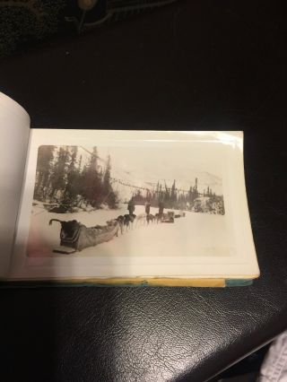1940’s Photos Book 52 Of Alaska Dog Sled Hunt Scenes Bear 3