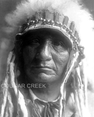 5x7 Red Hawk Oglala Sioux Indian Chief 1907 Edward Curtis Native American Photo