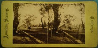 Early California Photo Stereoview - The Alameda At San Jose