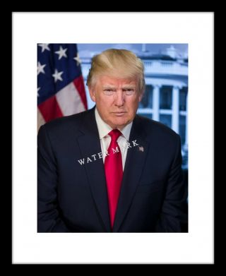 Donald Trump 8x10 Photo Print Picture Portrait Us President Make America Great
