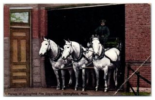1912 Horses Of The Springfield,  Ma Fire Department Postcard