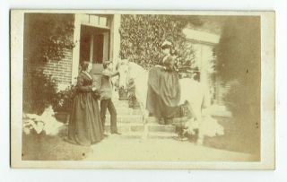 Victorian Cdv Photo Lady Riding Horse Sidesaddle Unstated Photographer