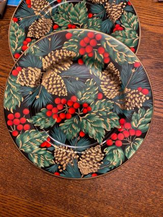 Fitz And Floyd Japan " Holiday Pine " 1 Christmas Holiday Plate 8.  5”