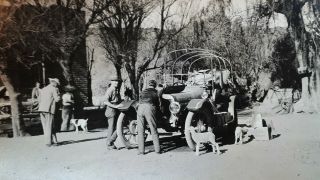1928 B/w Photograph.  Car Being Repaired/ People/ Animals.  Rhodesia/ Africa 20