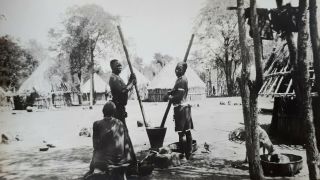 C1928 B/w Photograph.  African In Village Pounding Mielie/ Rhodesia/ Africa 32