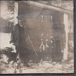 Vintage Photograph 1900s Pelts Hunting Gun/shotgun Dog Stuyvesant York Photo