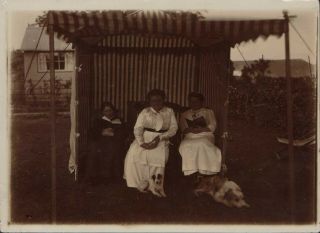 Two Ladies And A Girl In Garden,  Under Canopy,  2 Dogs,  House Books Jx2060
