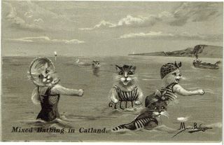 M Boulanger Artist Signed Old Postcard Anthropomorphic Cats Bathing Belles 1906