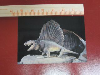 Dinosaur Postcard Dimetrodon British Museum Of Natural History