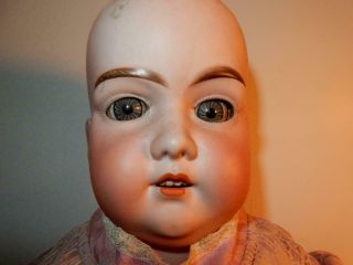 Antique German Bisque Doll Head 370 Am 28 " Large Doll 14 " Around Head