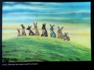 Watership Down 1978 Animated Movie Book Plates For Framing - All Rabbits
