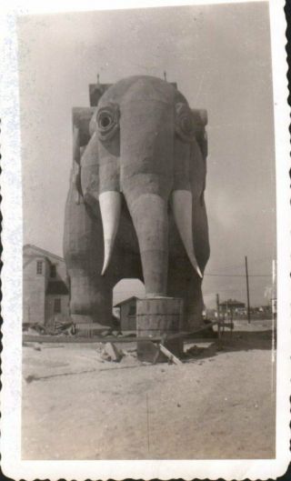 Vintage 1945 Photo Of Lucy The Elephant Hotel Atlantic City,  Jersey