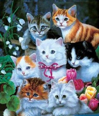 3 Dimensional 3d Lenticular Poster Picture With Frame: Cats In Group Yes3d - 3025