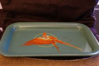 1950 ' s Hires Rootbeer Parrot Tray Good 3