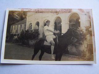 Ww2 Photo Tortola British Virgin Island Caribbean Hms Caradoc Sailor Horse 1939