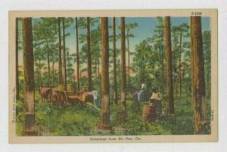 Vintage Postcard Early Black Americana Pine Turpentine McRea GA Timber Trees 2