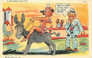 Comic Humor 1940s Ray Walters Sexy Woman Donkey Postcard Teich 9892