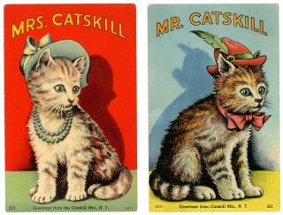 Big Indian Ny - Mr Catskill & Mrs Catskill - Pair Linen Postcards Cats/kitten