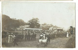 South Wales Horse Race Meeting Posted Early 1900s Rp Pc Written Location