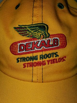 Dekalb Seed Strong Roots Strong Yield Adjustable Hat,