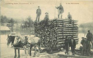 Adirondack C - 1910 Elizabethtown York Lumbering Postcard Pck Series 10987