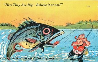 Comic Humor Fishing Exaggeration 1940s Ray Walters Kropp Linen Postcard 7961
