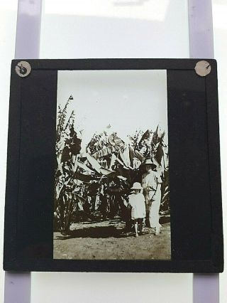 Antique Magic Lantern Slide - B&w - Barbados Plantation - Landowner & Child 1900