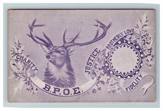 The Benevolent And Protective Order Of Elks,  Detroit Mi C1910 Postcard K2