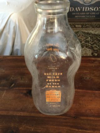 Vintage Redwood Drive In Dairy Petaluma Half Gallon Milk Bottle California Rare